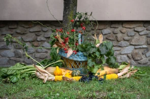XXIX. Nagycenki Szüreti Napok