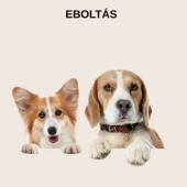 Eboltás