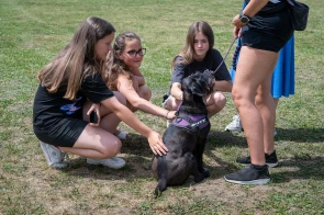 V. Cenki Családi Piknik